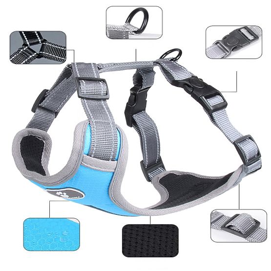 ASTRO kék edző kutyahám XL méret