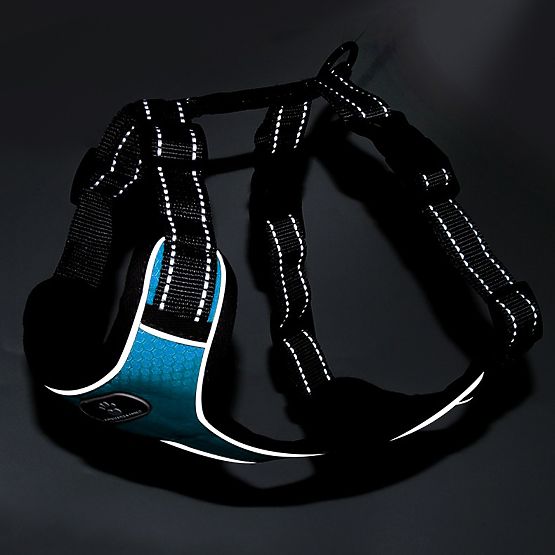 ASTRO kék edzőhám kutyáknak L méret