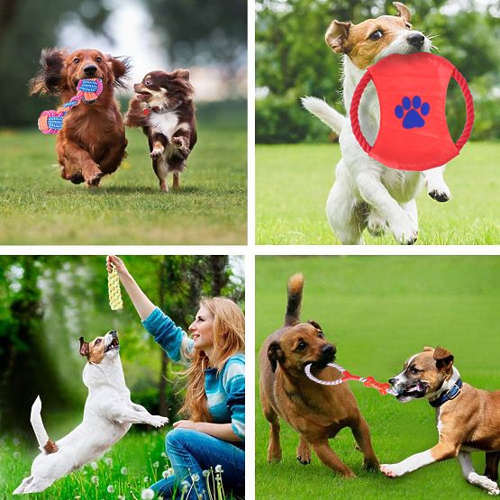 DYLAN 10 darabos kutyajáték készlet húzogatós játékok