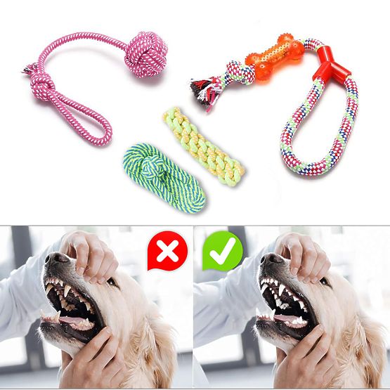 DYLAN 10 darabos kutyajáték készlet húzogatós játékok