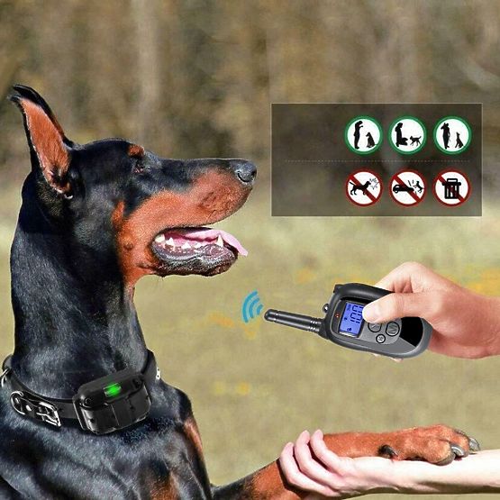 ELEKTROMOS KUTYAKIKÉPZŐ NYAKÖRV pj-098