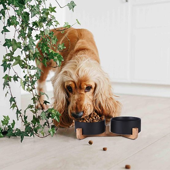 ETETŐ- ÉS VÍZTÁL ÁLLATOKNAK FEKETE 331579