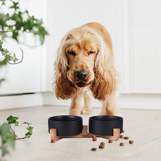 ETETŐ- ÉS VÍZTÁL ÁLLATOKNAK FEKETE 331579