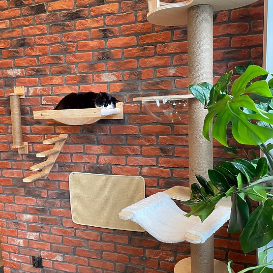 FALI KAPARÓFA MACSKÁKNAK 332526