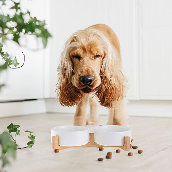 FEHÉR ETETŐ- ÉS VÍZTÁL ÁLLATOKNAK 331579