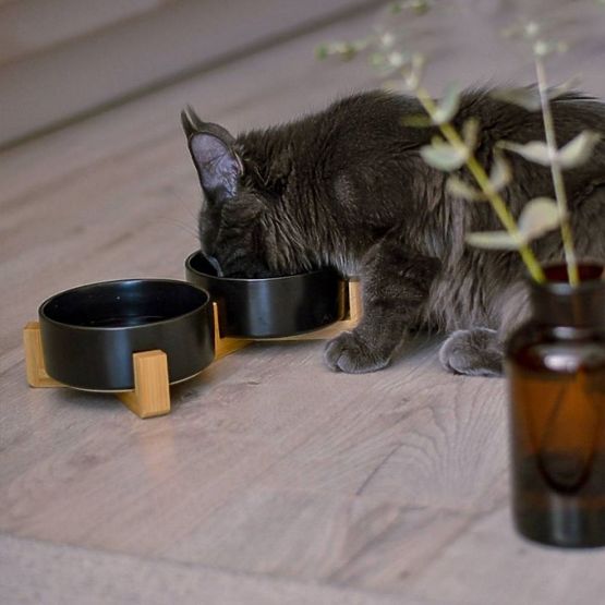 FEHÉR ETETŐ- ÉS VÍZTÁL ÁLLATOKNAK 331579