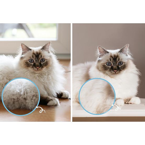 Fésű - professzionális bontókefe PJ-040