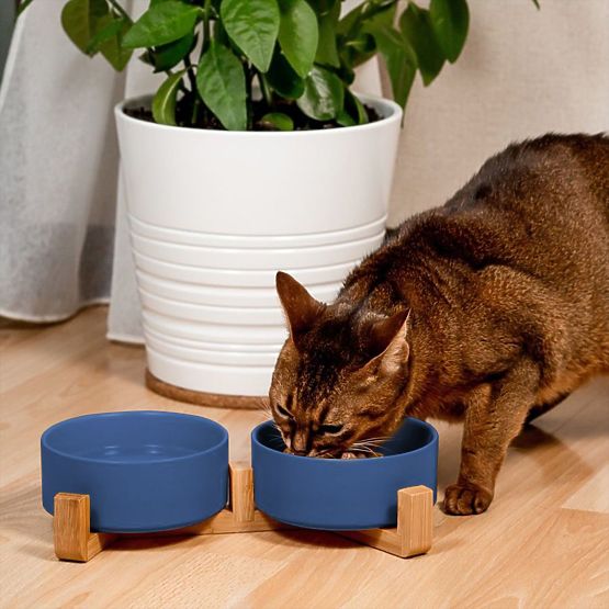 Kék Kerámia Tál Kutya vagy Macska Számára PJ-080