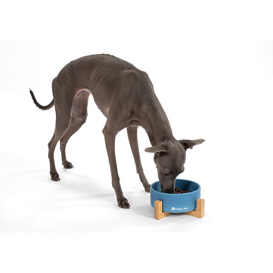 Kék kerámia tál kutyának vagy macskának PJ-033