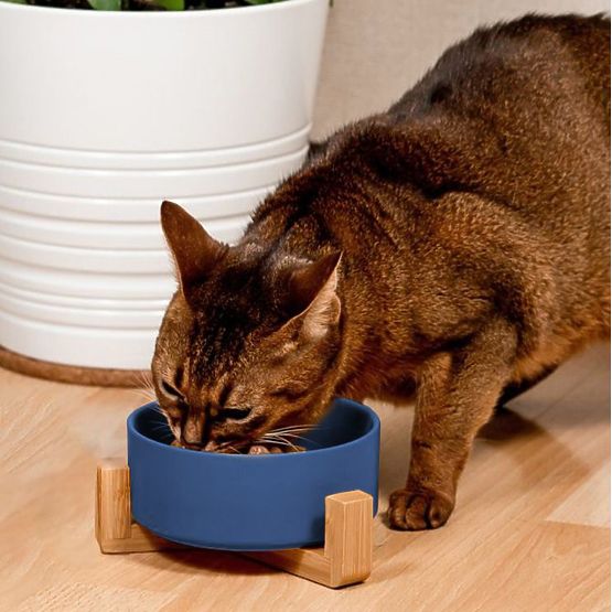 Kék kerámia tál kutyának vagy macskának PJ-033