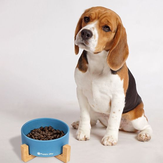 Kék kerámia tál kutyának vagy macskának PJ-033