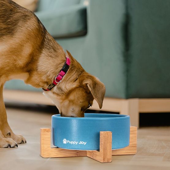 Kék kerámia tál kutyának vagy macskának PJ-033