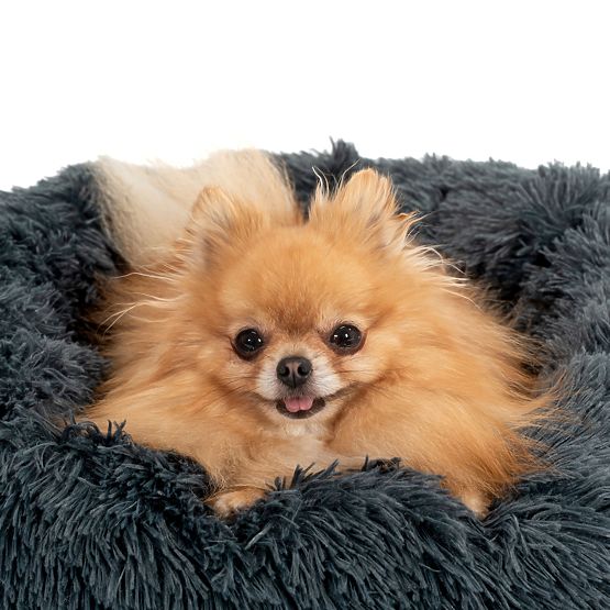 KUTYA/MACSKA FEKVŐHELY PJ-004 SÖTÉTSZÜRKE L