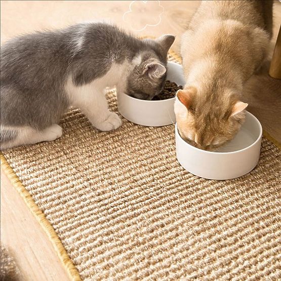 MACSKA KAPARÓSZŐNYEG 60x40cm 332494