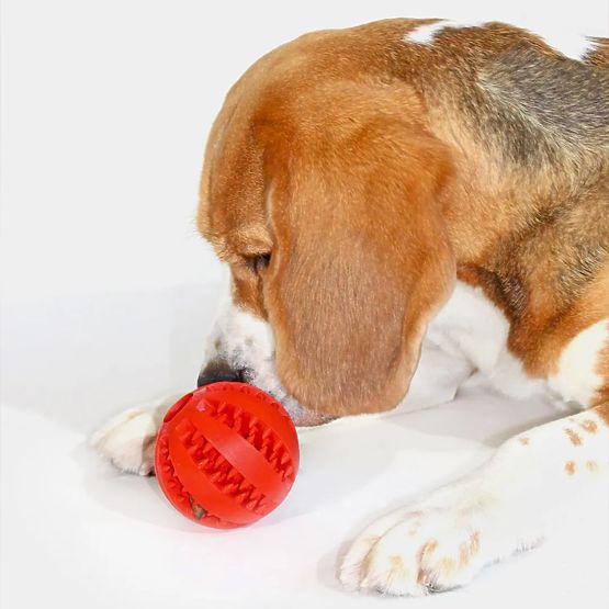 Piros rágógolyó kutyáknak PJ-090