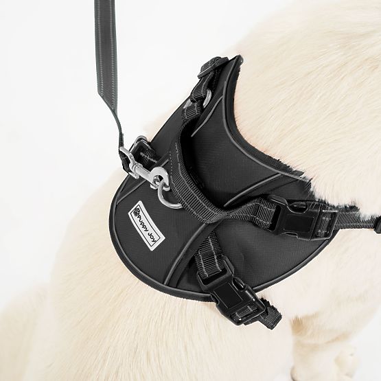 PJ-059 fekete L kutyahám és póráz