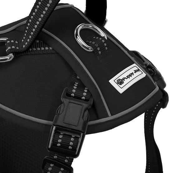 PJ-059 fekete L kutyahám és póráz