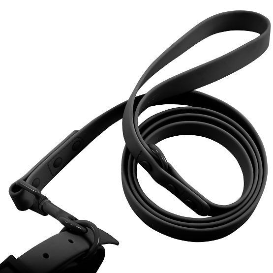 PJ-071 fekete M kutyapóráz és nyakörv