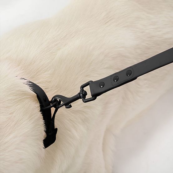 PJ-075 fekete L kutyapóráz és nyakörv