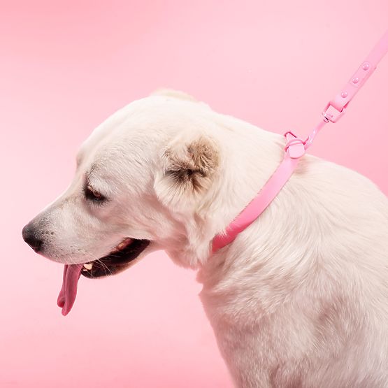 PJ-076 rózsaszín L kutyapóráz és nyakörv