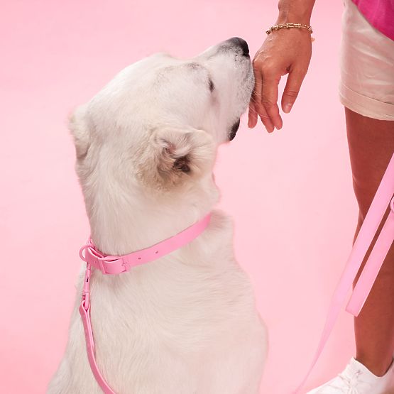 PJ-076 rózsaszín L kutyapóráz és nyakörv