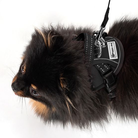 Póráz és hám kutyáknak PJ-047 fekete XS