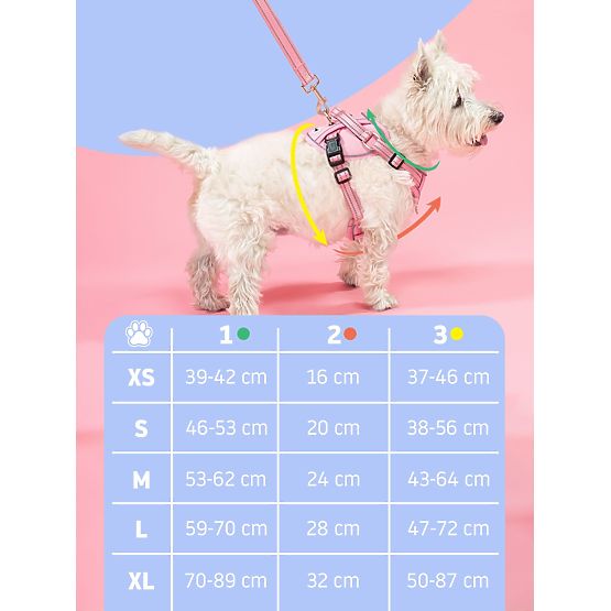 Póráz és hám kutyának PJ-058 kék M