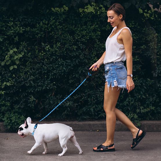 Reflexiós póráz és nyakörv kutyáknak PJ-037 kék