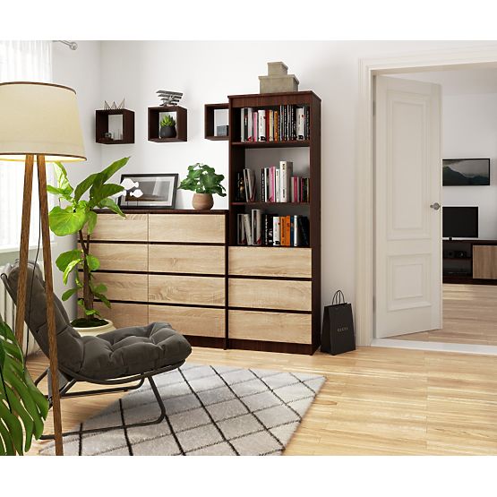 REGÁL R60 3F 2P CLP WENGE / SONOMA