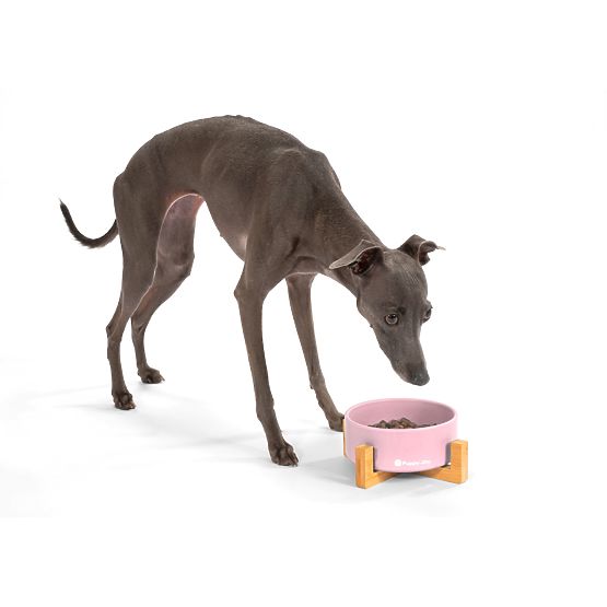 Rózsaszín kerámia tál kutyának vagy macskának PJ-032