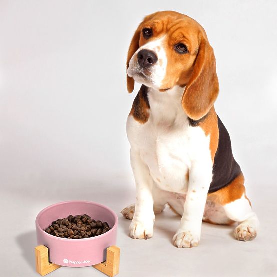 Rózsaszín kerámia tál kutyának vagy macskának PJ-032