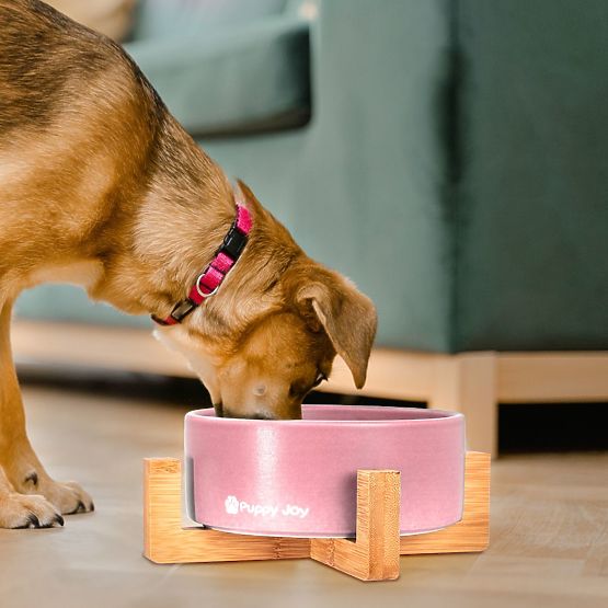 Rózsaszín kerámia tál kutyának vagy macskának PJ-032