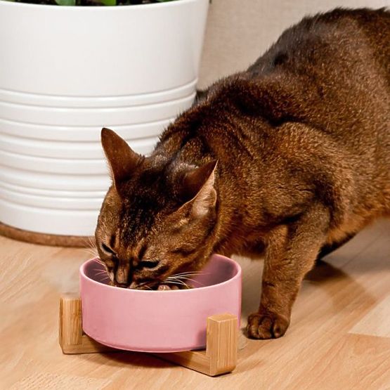 Rózsaszín kerámia tál kutyának vagy macskának PJ-032