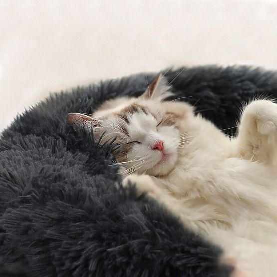 SÖTÉTSZÜRKE KUTYA ÉS MACSKA FEKVŐHELY PJ-003 M MÉRET