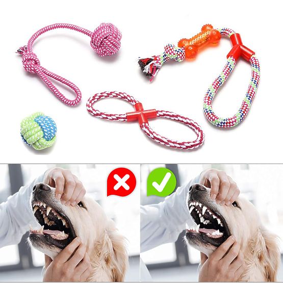 SPANKY 5 darabos kutyahúzó játék készlet