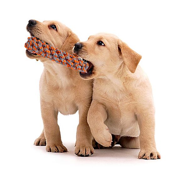 SPANKY 5 darabos kutyahúzó játék készlet