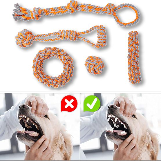 SPANKY 5 darabos kutyahúzó játék készlet