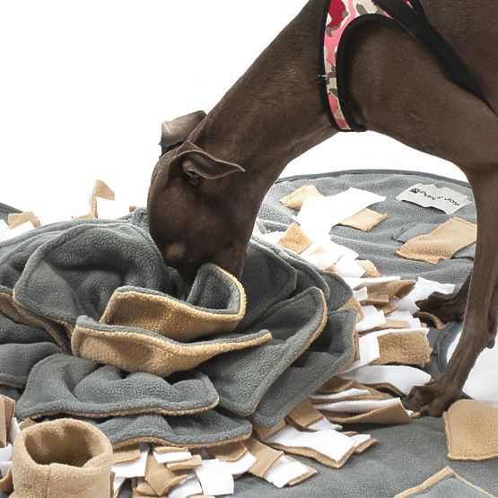 SZAGLÓ SZŐNYEG KUTYÁKNAK PJ-028