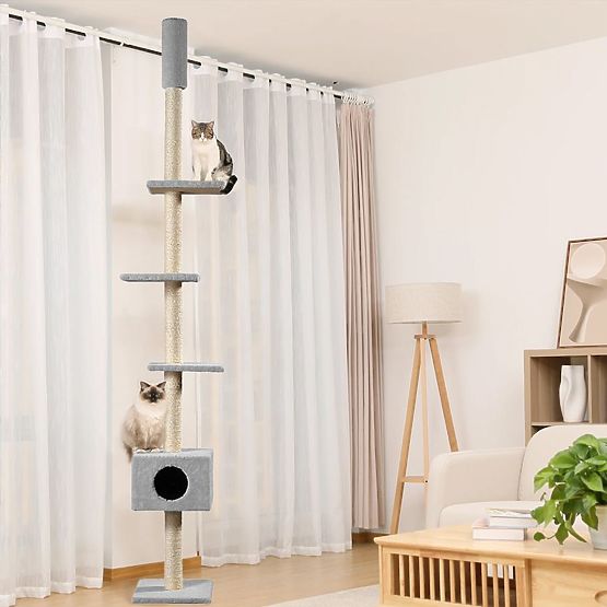 SZÜRKE MENNYEZETI MACSKAKAPARÓ P70374