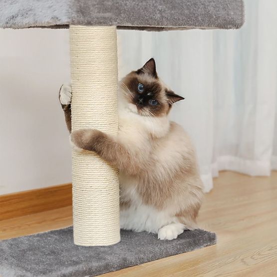 SZÜRKE MENNYEZETI MACSKAKAPARÓ P70374