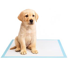 BARRY higiénikus alátétek állatoknak 60x90 50 db