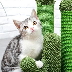 Kattintson a nagyításhoz
