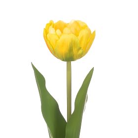 Művirág TULIPI sárga szín modern stílus ameliahome