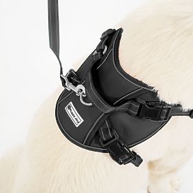 PJ-059 fekete L kutyahám és póráz