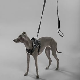 Póráz és hám kutyáknak PJ-055 fekete M