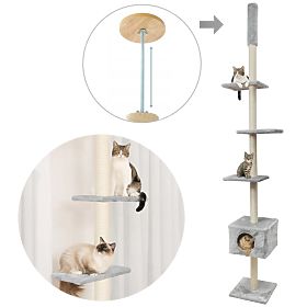 SZÜRKE MENNYEZETI MACSKAKAPARÓ P70374, Tutumi